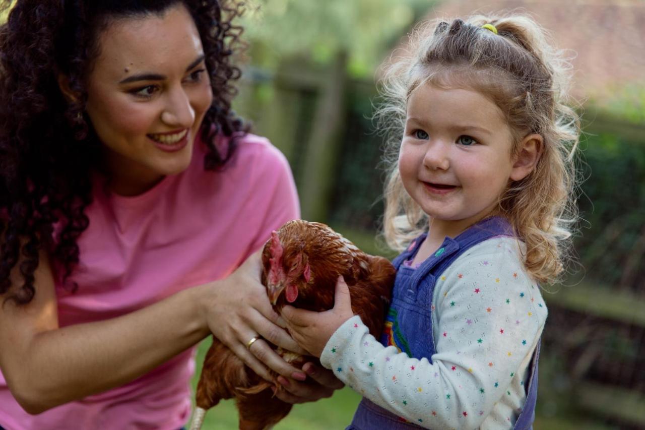 فندق Horsley Hale Farm Glamping إلي المظهر الخارجي الصورة