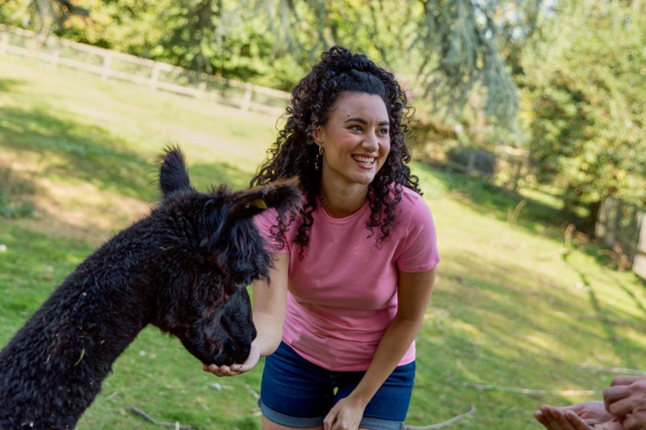 فندق Horsley Hale Farm Glamping إلي المظهر الخارجي الصورة