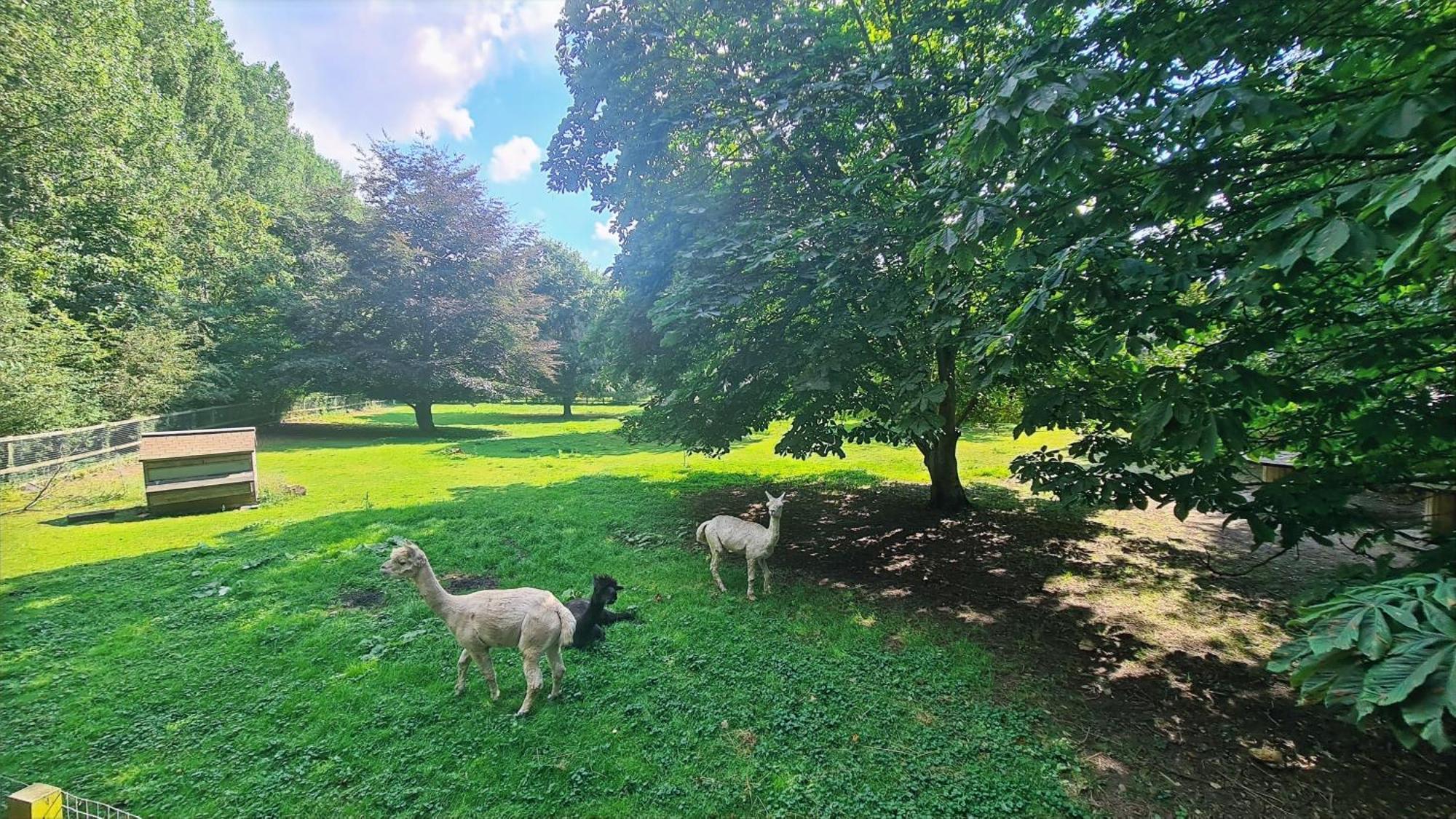 فندق Horsley Hale Farm Glamping إلي الغرفة الصورة